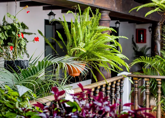 Hotel Villa Real Antigua